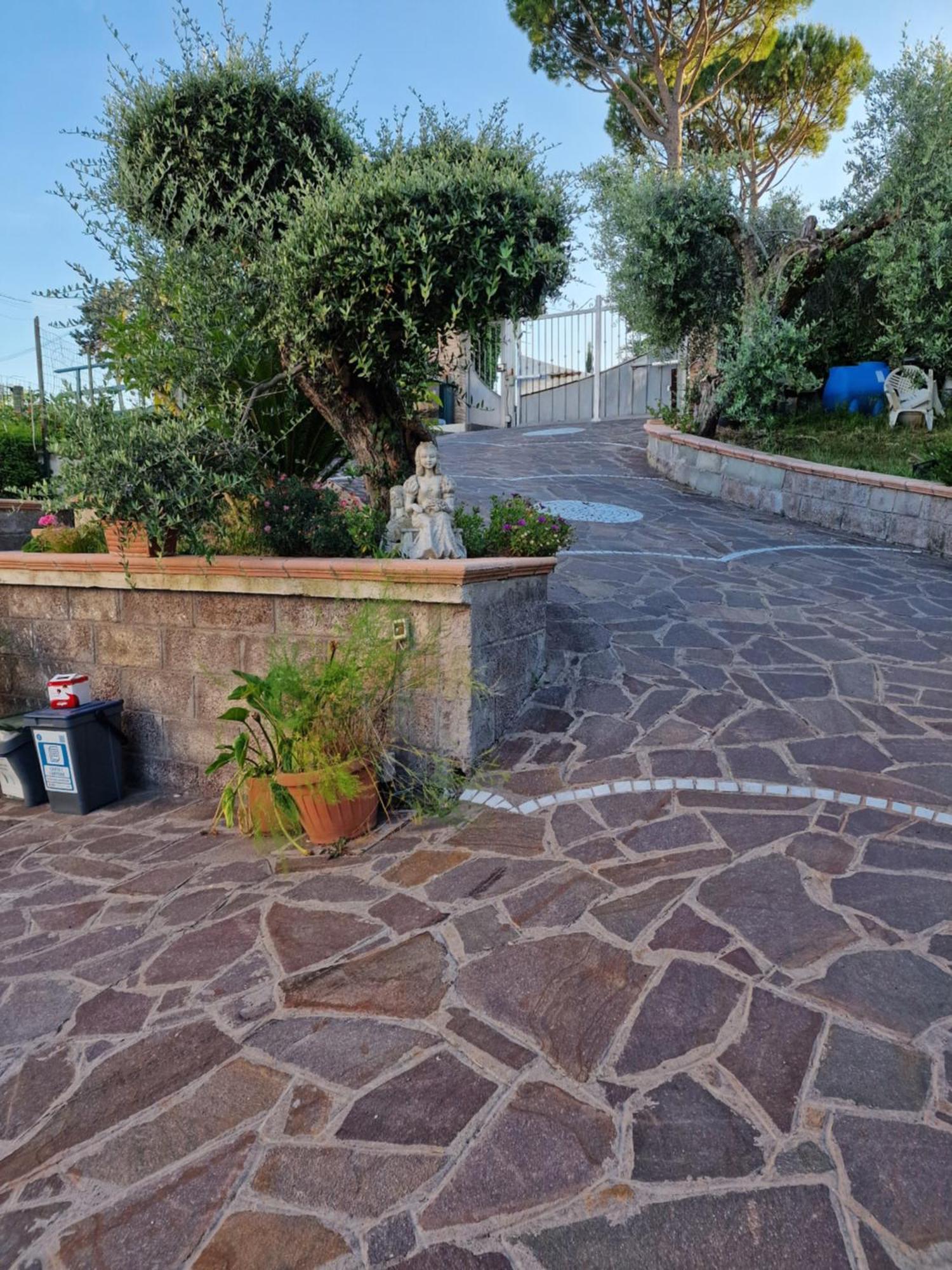 La Casa Tra Gli Ulivi Di Fonte Nuova 2 Villa Mentana Exterior photo